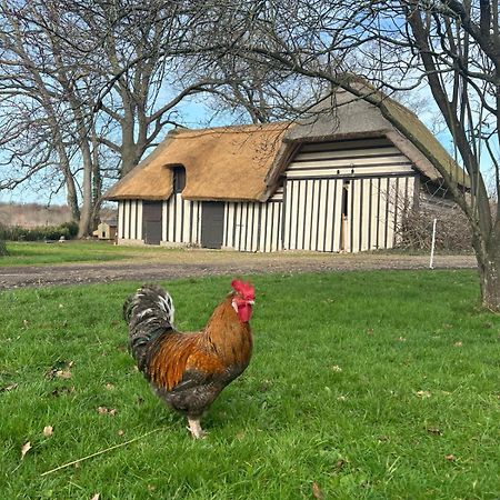 Le Domaine Caribou Bed and Breakfast Sainte-Opportune-la-Mare Exteriör bild